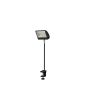 EUROLITE LED KKL-30 Floodlight 4100K black