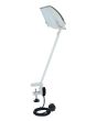 EUROLITE KKL-300 Halogen Floodlight white