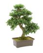 EUROPALMS Bonsai, kunstplant, 61 cm