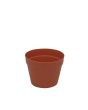 EUROPALMS Bloempot plastic, rood, 17cm