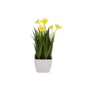 EUROPALMS Narcis, kunstplant, 23cm