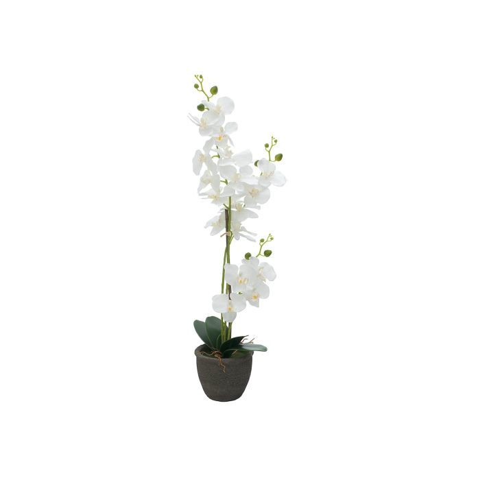 EUROPALMS Orchidee , kunstplant, wit, 80cm