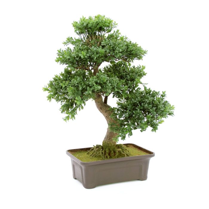 EUROPALMS Bonsai, kunstplant, 61 cm