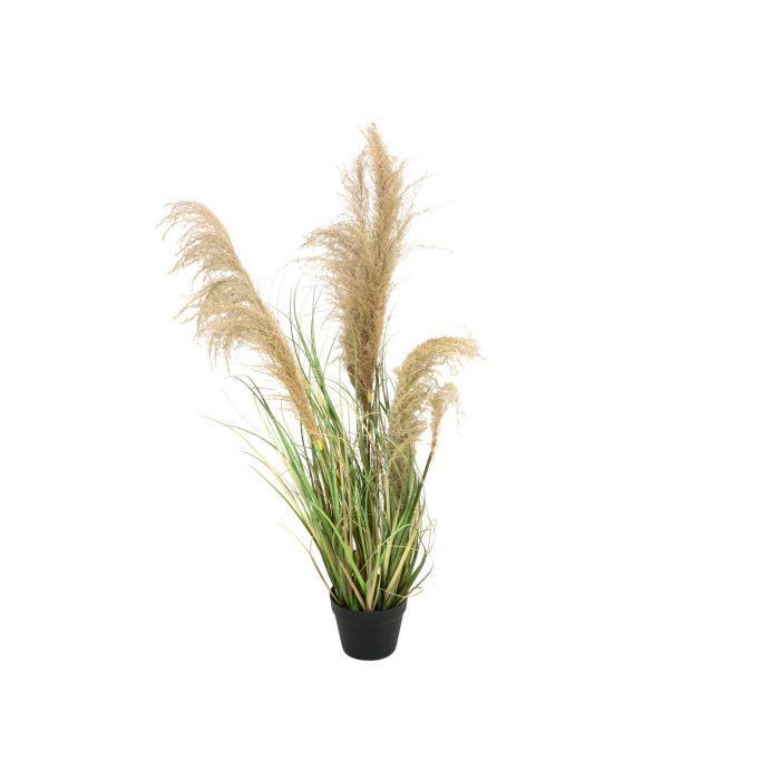 EUROPALMS Chinese silvergrass, artificial, 110cm