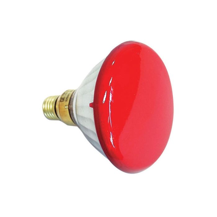  Showtec Par 38 E27 Flood Showtec 240V 90W, rood 