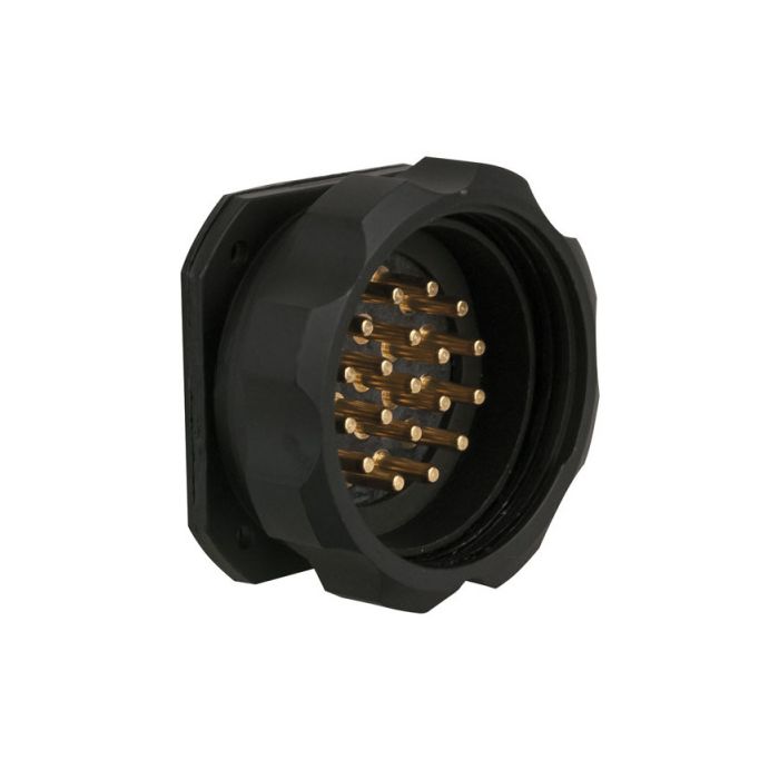 Showtec 19p male receptacle black