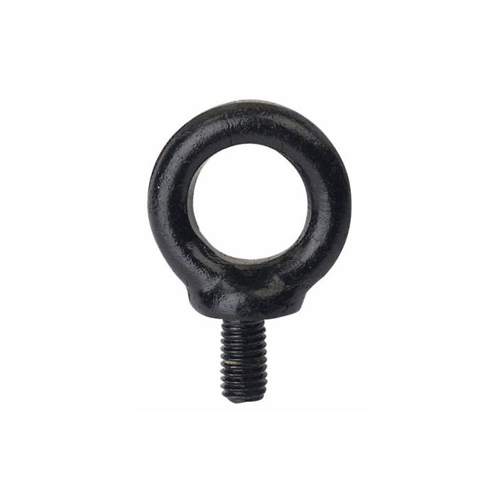 Showgear Lifting Eye 8mm Black / Oogbout