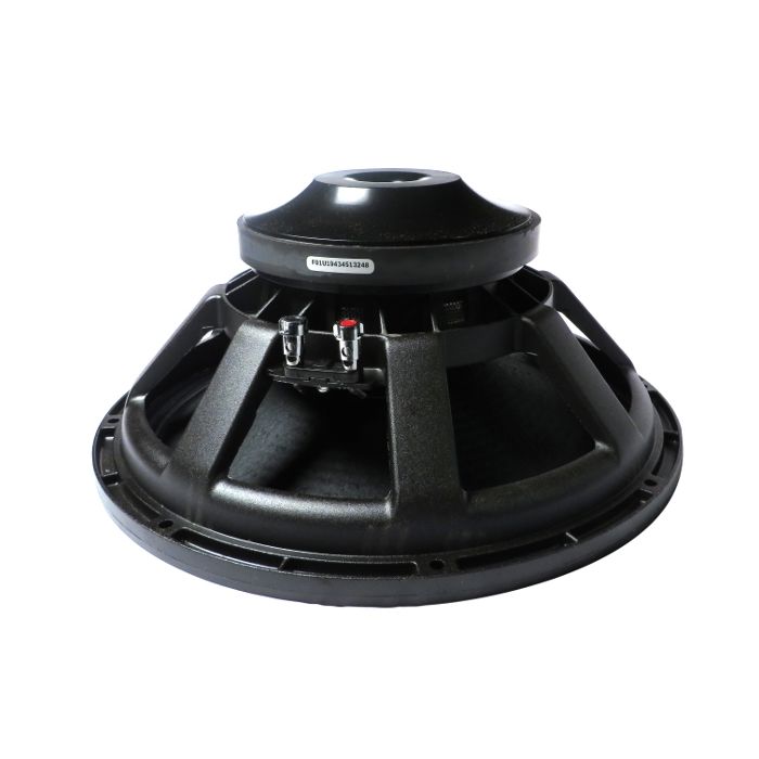 EV dvx3180a recone service low  woofer uit tour ETX 35